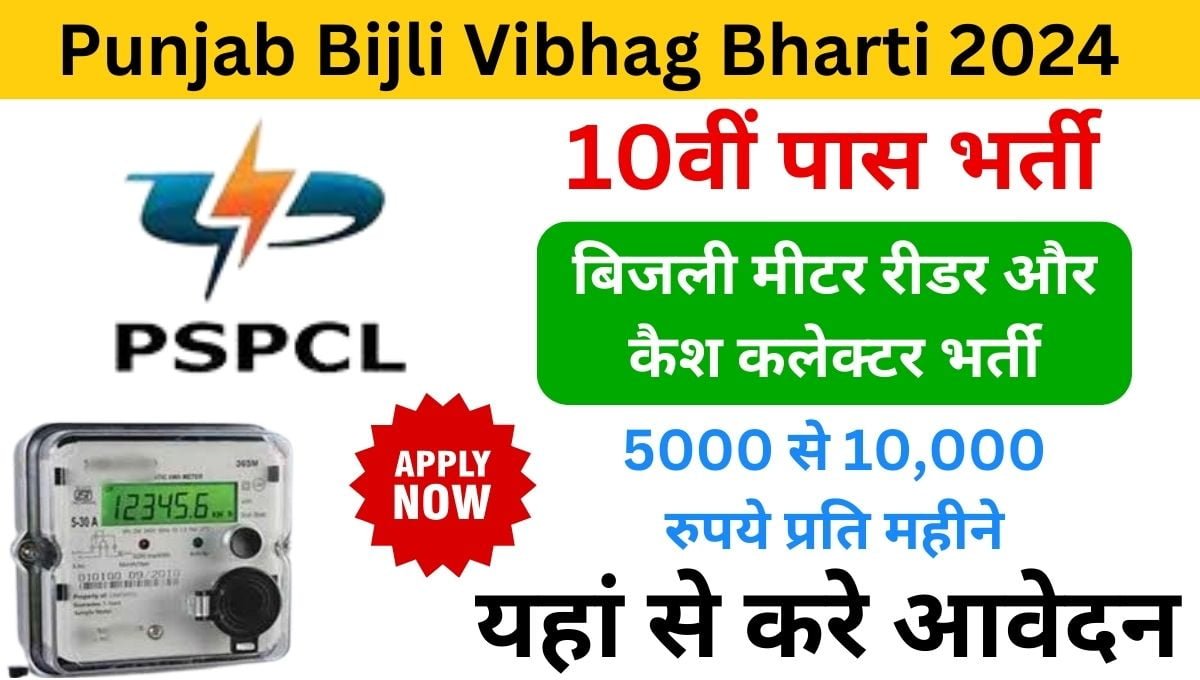 Punjab Bijli Vibhag Bharti 2024