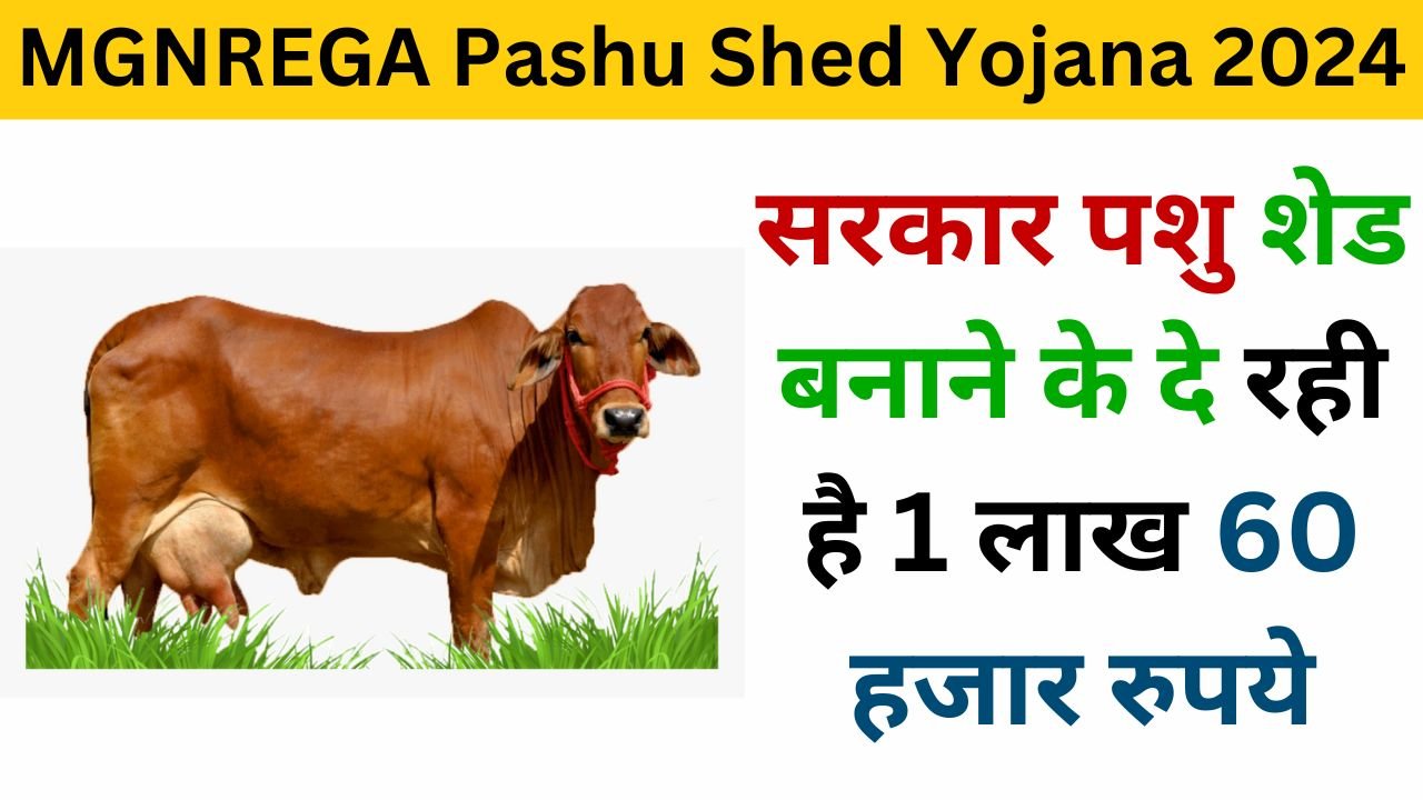 MGNREGA Pashu Shed Yojana 2024 Online Registration examlover.com