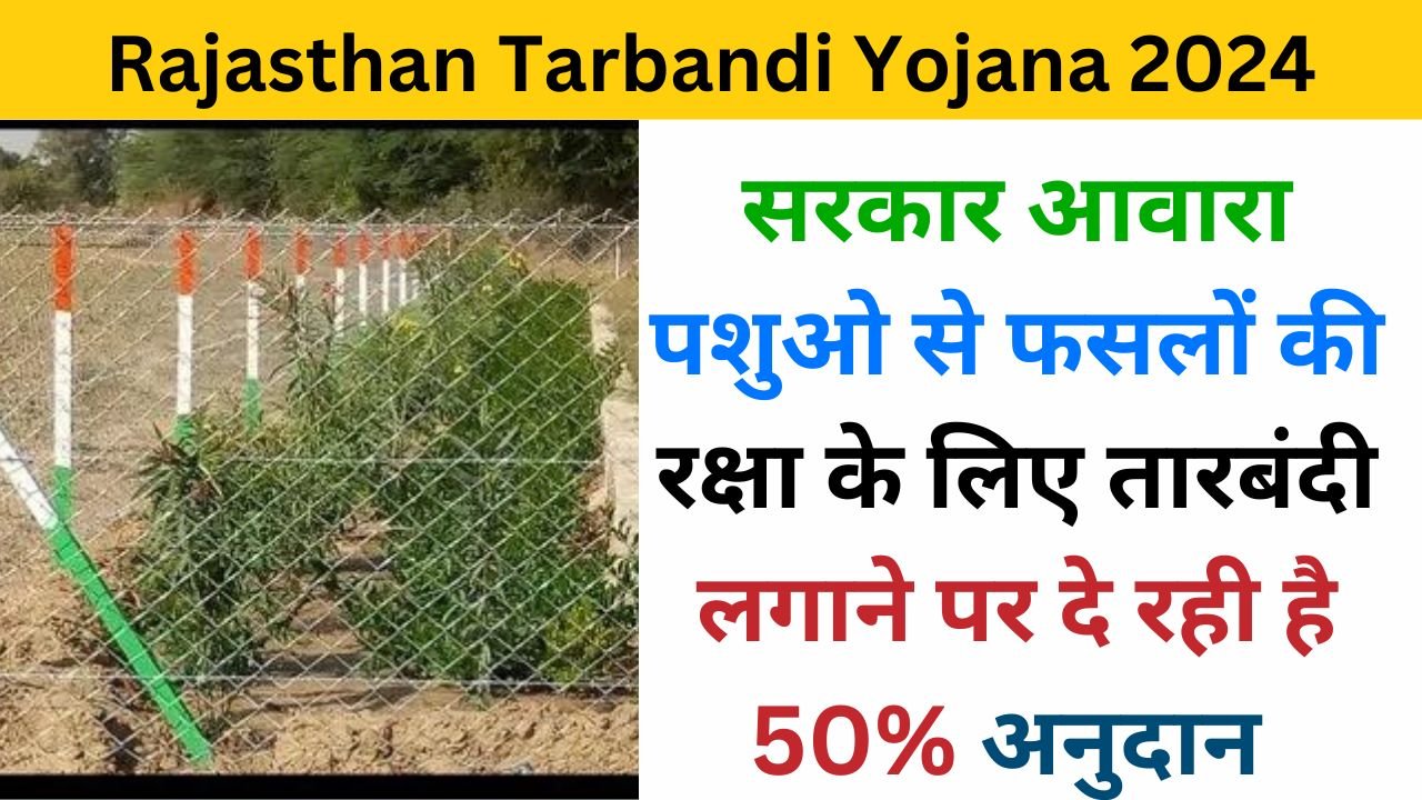 Rajasthan Tarbandi Yojana Online Apply 2024 examlove.com