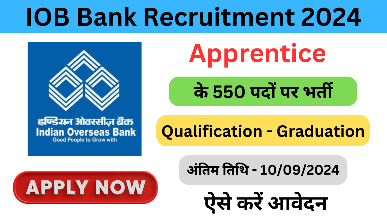 IOB Bank Apprentice Recruitment 2024