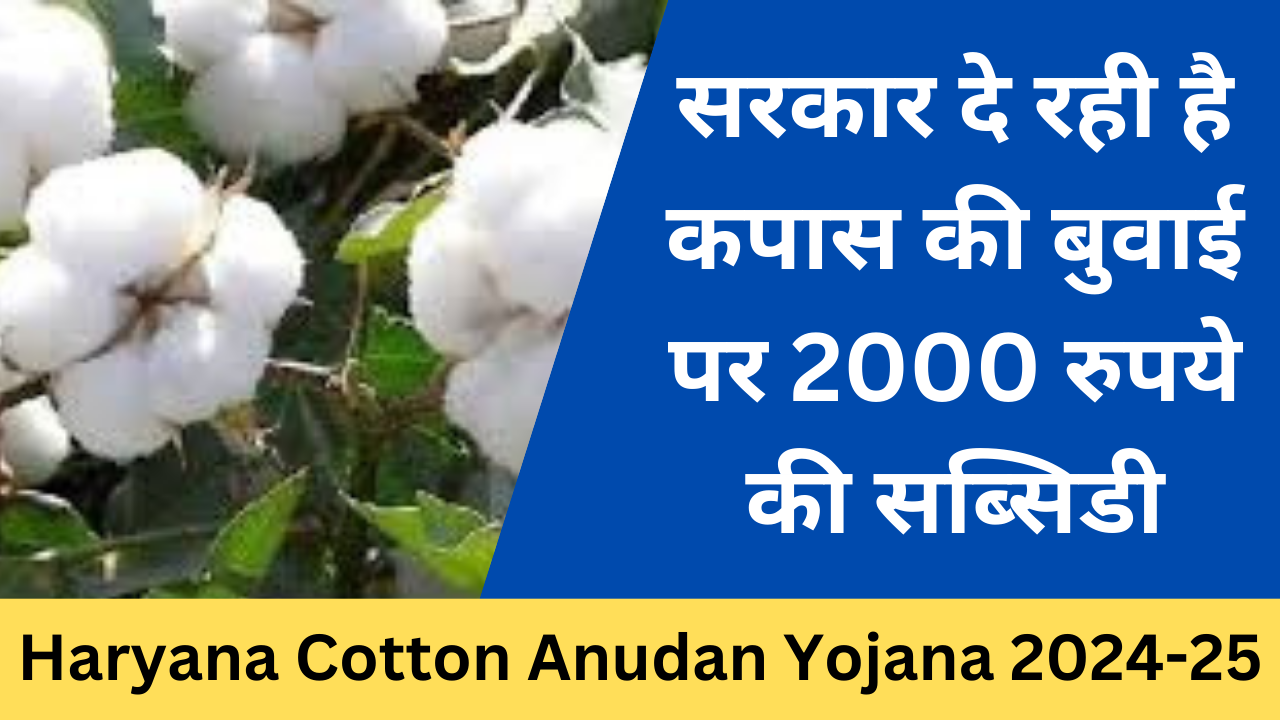 Haryana Cotton Anudan Yojana 2024-25 - Exam Lover