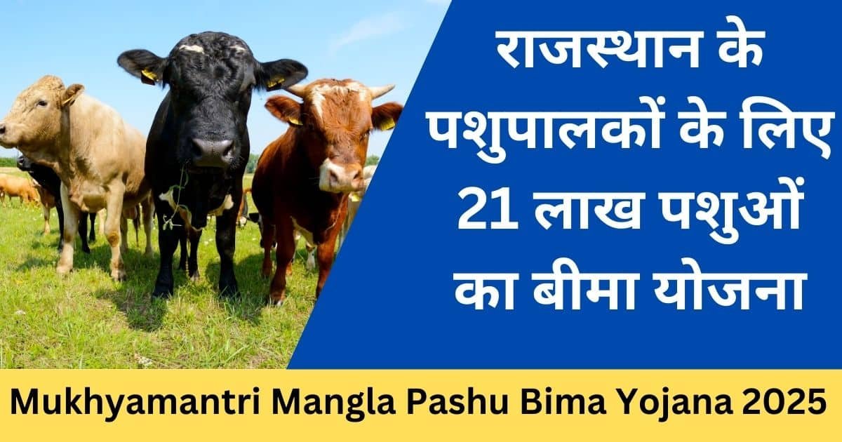 Mukhyamantri Mangla Pashu Bima Yojana 2025-Exam lover