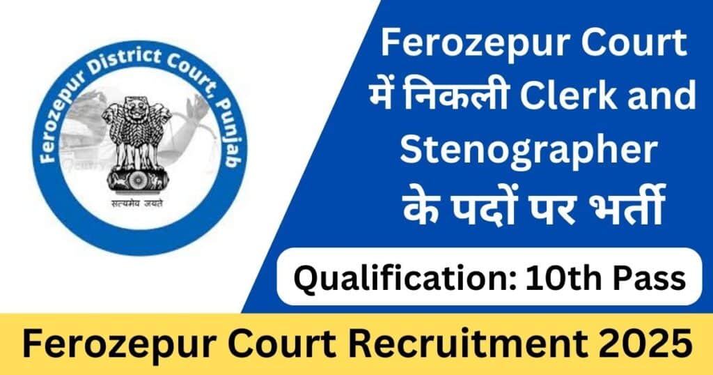 Ferozepur Court Clerk and Stenographer Recruitment 2025 Application Form